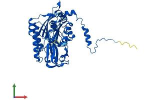 AlphaFold protein structure predicition of Mouse Recombinant Upb1 Protein, UniprotID Q8VC97