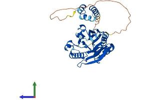 AlphaFold protein structure predicition of Human Recombinant TDP2 Protein, UniprotID O95551