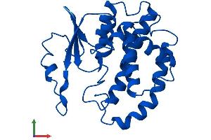 AlphaFold protein structure predicition of Mouse Recombinant Gstm6 Protein, UniprotID O35660