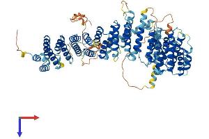 EFR3 Homolog B (EFR3B) (AA 1-817) protein (His tag)