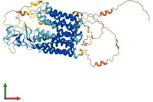 AlphaFold protein structure predicition of Human Recombinant SLCO3A1 Protein, UniprotID Q9UIG8 (Solute Carrier Organic Anion Transporter Family, Member 3A1 (SLCO3A1) (AA 1-710) protein (His tag))