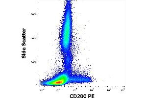 Flow cytometry surface staining pattern of human peripheral whole blood stained using anti-human CD200 (OX-104) PE antibody (10 μL reagent / 100 μL of peripheral whole blood).