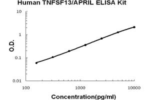 Human TNFSF13/APRIL Accusignal ELISA Kit Human TNFSF13/APRIL AccuSignal ELISA Kit standard curve.