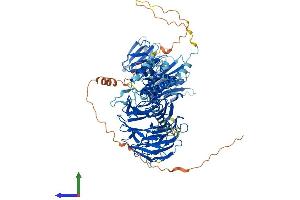 Protein Structure (PS) image for WD Repeat Domain 36 (WDR36) (AA 1-951) protein (His tag) (ABIN7556041)