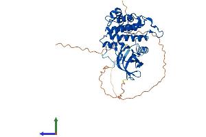 Protein Structure (PS) image for Casein Kinase 1, gamma 2 (CSNK1G2) (AA 1-415) protein (His tag) (ABIN7554281)