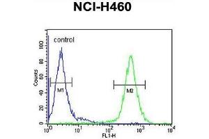 ACD10 Antibody (Center) flow cytometric analysis of NCI-H460 cells (right histogram) compared to a negative control cell (left histogram).