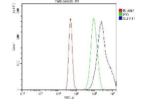 Flow Cytometry analysis of A431 cells using anti-SLFN11 antibody (ABIN7599761). (SLFN11 antibody  (AA 114-794))