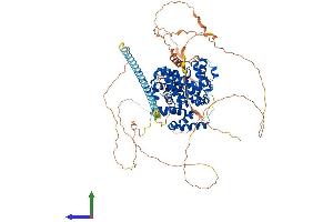 AlphaFold protein structure predicition of Human Recombinant TBC1D10B Protein, UniprotID Q4KMP7 (TBC1D10B Protein (AA 1-808) (His tag))