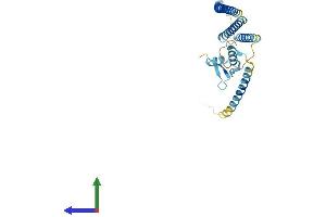 Protein Structure (PS) image for Centromere Protein K (CENPK) (AA 1-271) protein (His tag) (ABIN7561478)