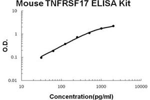 Mouse TNFRSF17/BCMA PicoKine ELISA Kit standard curve