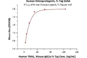 ELISA image for Tumor Necrosis Factor Receptor Superfamily, Member 11b (TNFRSF11B) (AA 22-401) protein (Fc Tag) (ABIN2181849)