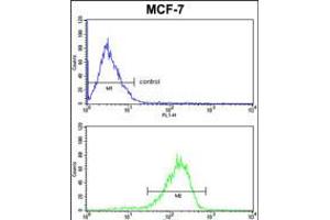 MAP2 Antibody FC analysis of MCF-7 cells (bottom histogram) compared to a negative control cell (top histogram). (MAP2 antibody)