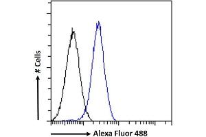 (ABIN334406) Flow cytometric analysis of paraformaldehyde fixed A549 cells (blue line), permeabilized with 0. (GADD45G antibody  (Internal Region))