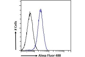 (ABIN334406) Flow cytometric analysis of paraformaldehyde fixed A549 cells (blue line), permeabilized with 0.
