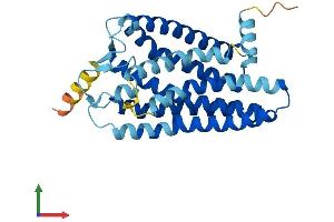 AlphaFold protein structure predicition of Human Recombinant OR2W6P Protein, UniprotID Q8NHA6 (OR2W6P Protein (AA 1-318) (His tag))