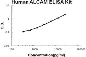 Human ALCAM PicoKine ELISA Kit standard curve