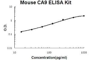 Mouse CA9 PicoKine ELISA Kit standard curve (CA9 ELISA Kit)