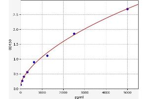 ATP1A3 ELISA Kit