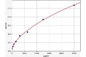 Typical standard curve (ATP1A3 ELISA Kit)