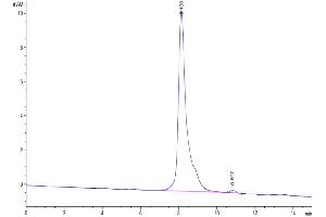 Size-exclusion chromatography-High Pressure Liquid Chromatography (SEC-HPLC) image for Coagulation Factor III (thromboplastin, Tissue Factor) (F3) (AA 35-248) protein (His tag) (ABIN7275699)