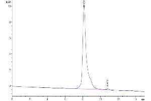 The purity of Canine Coagulation Factor III is greater than 95 % as determined by SEC-HPLC.