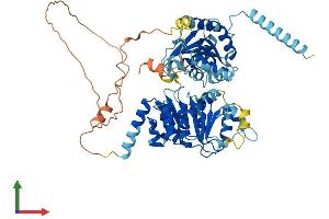 AlphaFold protein structure predicition of Mouse Recombinant Ddx52 Protein, UniprotID Q8K301