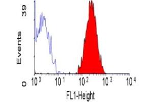 ABIN118698 staining of human peripheral blood platelets. (ITGA2 antibody  (FITC))