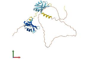 AlphaFold protein structure predicition of Mouse Recombinant Hnrnpdl Protein, UniprotID Q9Z130