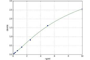 Receptor (TNFRSF)-Interacting serine-threonine Kinase 1 (RIPK1) ELISA Kit
