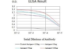 Black line: Control Antigen (100 ng),Purple line: Antigen (10 ng), Blue line: Antigen (50 ng), Red line:Antigen (100 ng) (NOXA antibody  (AA 1-54))