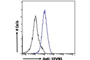 ABIN1590085 Flow cytometric analysis of paraformaldehyde fixed A431 cells (blue line), permeabilized with 0. (SYVN1 antibody  (Internal Region))