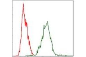 Flow Cytometry (FACS) image for anti-Yes-Associated Protein 1 (YAP1) antibody (ABIN1109527)