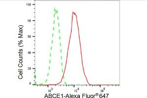anti-ATP-Binding Cassette, Sub-Family E (OABP), Member 1 (ABCE1) antibody