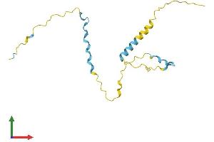 AlphaFold protein structure predicition of Human Recombinant PRR13 Protein, UniprotID Q9NZ81