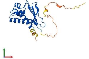 AlphaFold protein structure predicition of Human Recombinant BTG1 Protein, UniprotID P62324