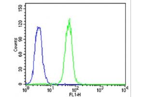 Flow cytometric analysis of K562 cells using CDK5 Antibody (C-term)(green, Cat(ABIN6242783 and ABIN6577637)) compared to an isotype control of rabbit IgG(blue). (CDK5 antibody  (C-Term))