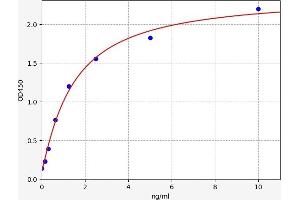 TFAP2B ELISA Kit