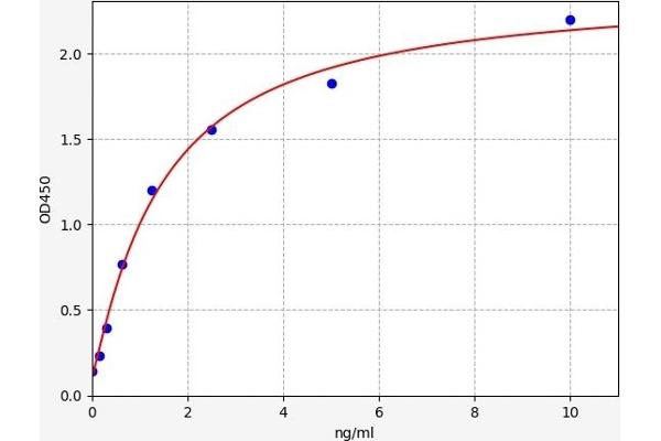 TFAP2B ELISA Kit