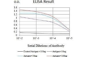 Black line: Control Antigen (100 ng),Purple line: Antigen (10 ng), Blue line: Antigen (50 ng), Red line:Antigen (100 ng) (LILRA4 antibody  (AA 24-178))