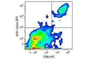 Flow Cytometry (FACS) image for anti-Chemokine (C Motif) Receptor 1 (XCR1) antibody (ABIN2665462) (XCR1 antibody)