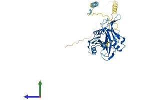 Protein Structure (PS) image for BRX1, Biogenesis of Ribosomes, Homolog (BRIX1) (AA 1-353) protein (His tag) (ABIN7561325)