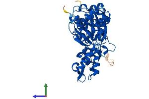 Protein Structure (PS) image for ARP3 Actin-Related Protein 3 Homolog B (ACTR3B) (AA 1-418) protein (His tag) (ABIN7552358)