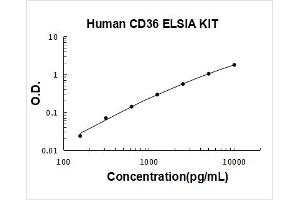 CD36 (CD36) ELISA Kit