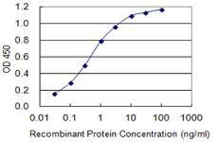 Detection limit for recombinant GST tagged NOL3 is 0. (NOL3 antibody  (AA 1-208))