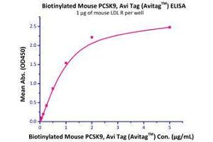 Binding Studies (Bind) image for Proprotein Convertase Subtilisin/kexin Type 9 (PCSK9) (AA 35-694) (Active) protein (His tag,AVI tag,Biotin) (ABIN2870574)