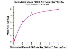 Immobilized Mouse LDL R Protein, His Tag (Cat# LDR-M52H8 ) at 10 μg/mL (100 μL/well) can bind Biotinylated Mouse PCSK9 Protein (Cat# PC9-M82E1 ) with a linear range of 0. (PCSK9 Protein (AA 35-694) (His tag,AVI tag,Biotin))