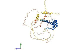AlphaFold protein structure predicition of Human Recombinant PHOX2B Protein, UniprotID Q99453