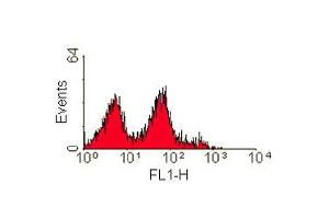 ABIN118572 staining of human peripheral blood lymphocytes (DPP4 antibody)