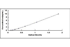 Typical standard curve (SNCG ELISA Kit)