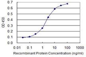 Detection limit for recombinant GST tagged NFIC is 0. (NFIC antibody  (AA 314-423))